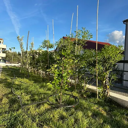 בית נופש Ujo Marko Sea View House, *