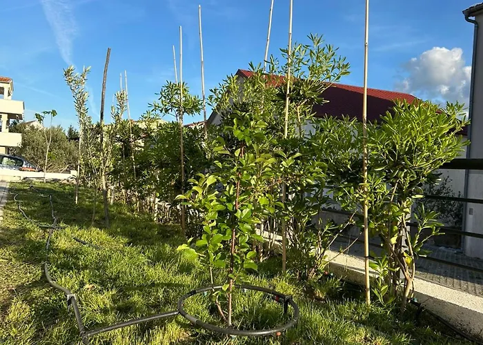 Дом отдыха Ujo Marko Sea View House, *