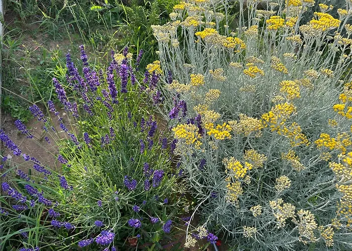 Ujo Marko Sea View House, Maslenica